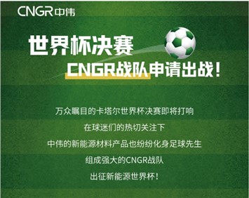 世界杯決賽 | CNGR戰(zhàn)隊(duì)申請(qǐng)出戰(zhàn)！