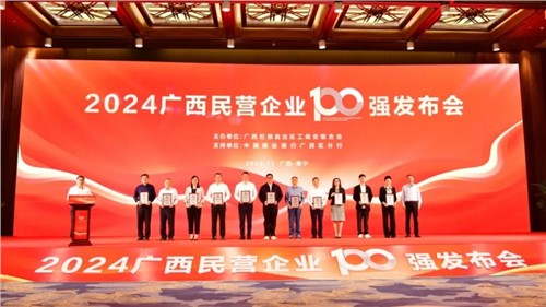 喜報！中偉在“2024廣西民營企業100強發布會”上榮獲三項大獎